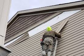 Best Custom Trim and Detailing for Siding  in La Paloma, TX